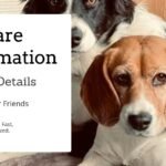Fillable Pet Sitter Information Form, 2-Page PDF Pet Care Records, Emergency Pet Info Sheet, Digital Download.